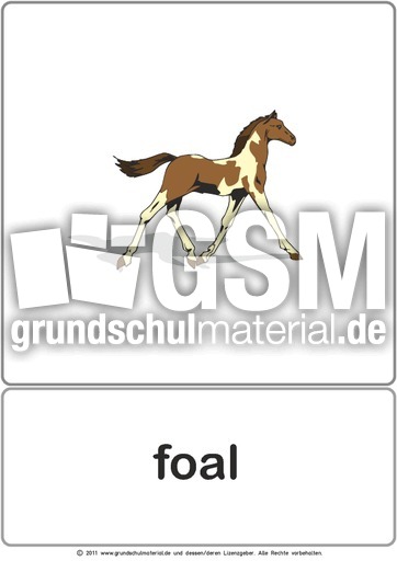 Bildkarte - foal.pdf
